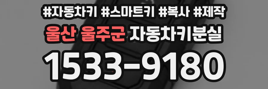 울산 울주군 자동차키분실