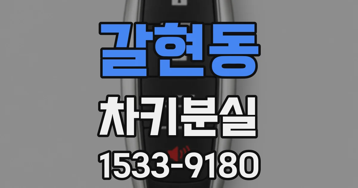 갈현동 차키분실