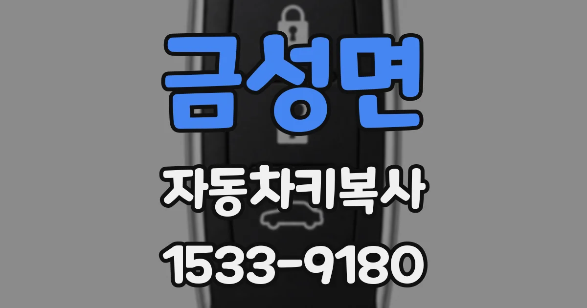 금성면 자동차키복사