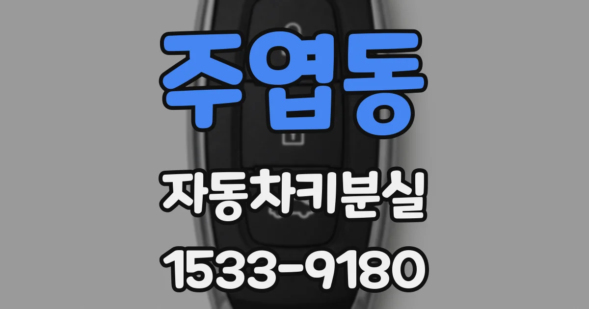 주엽동 자동차키분실
