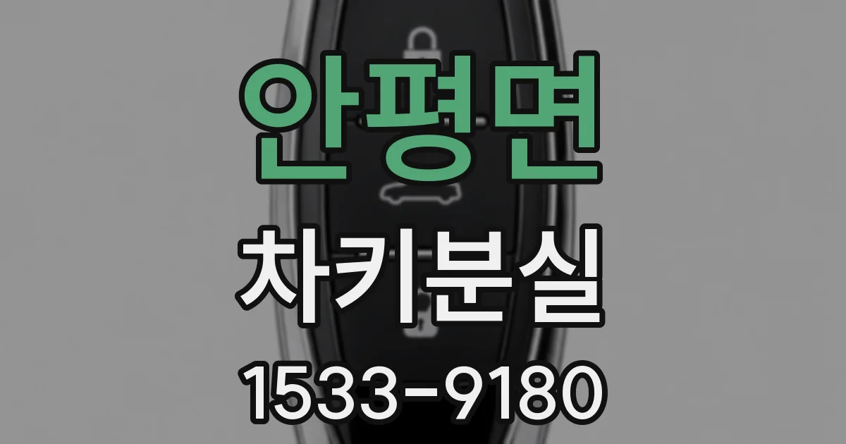 안평면 차키분실
