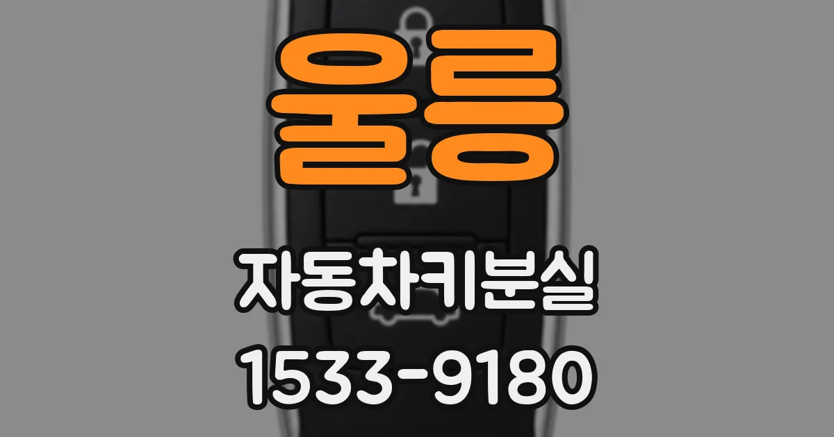 울릉 자동차키분실