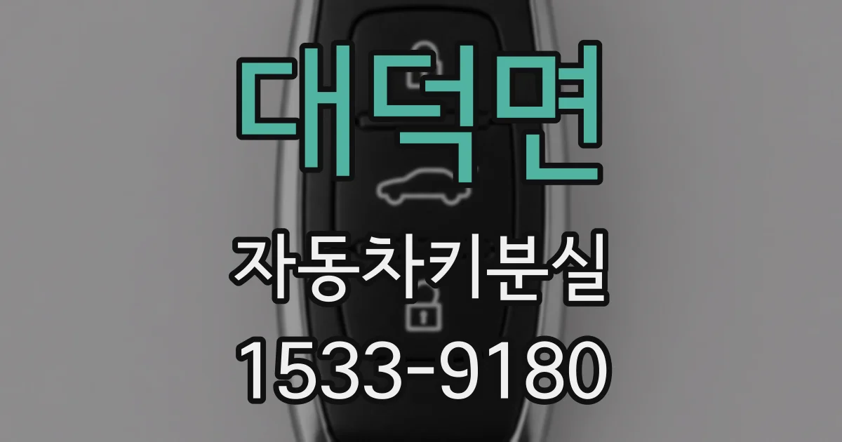 대덕면 자동차키분실