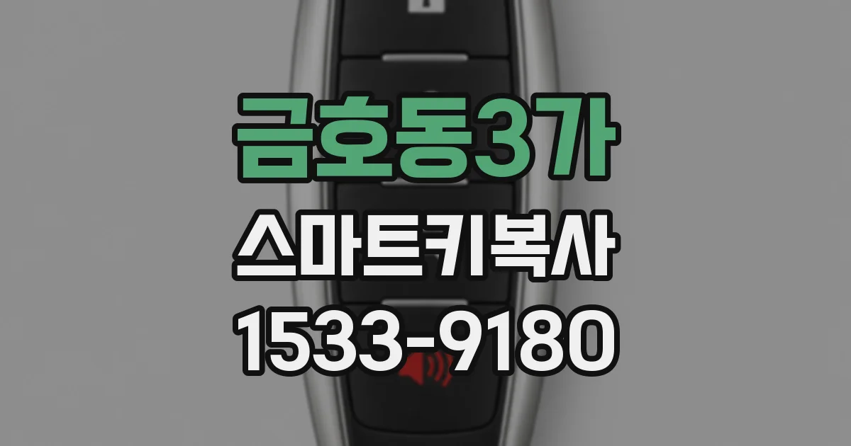 금호동3가 스마트키복사