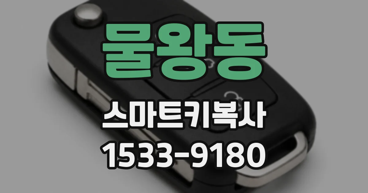 물왕동 스마트키복사