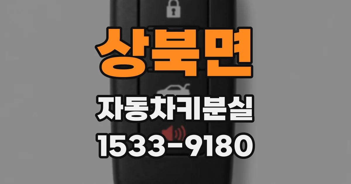 상북면 자동차키분실
