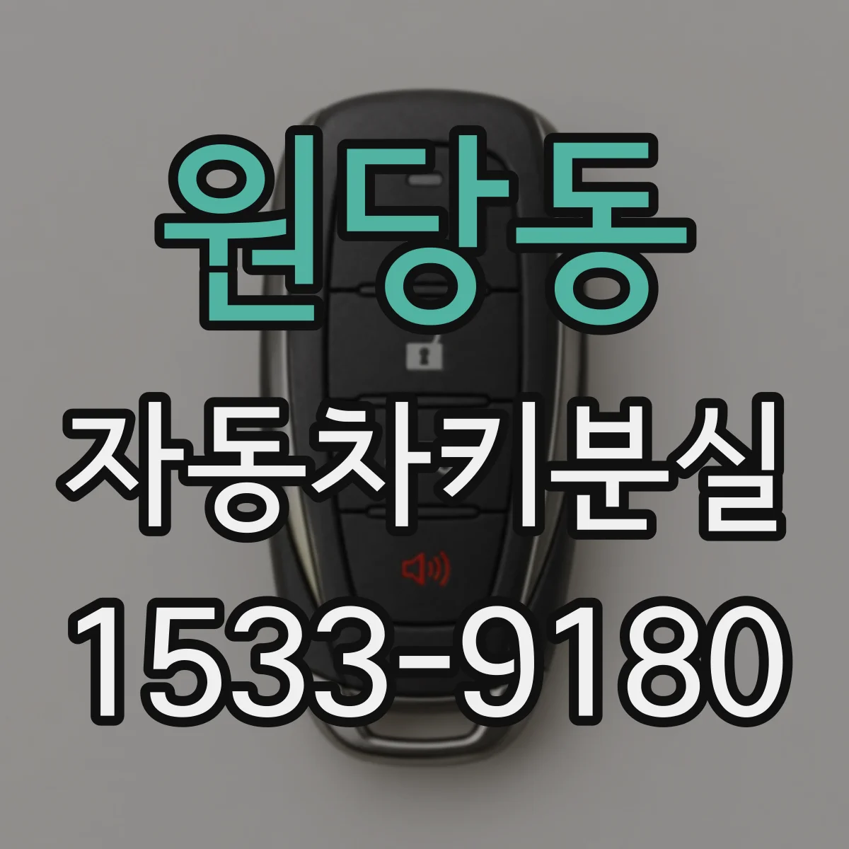 원당동 자동차키분실