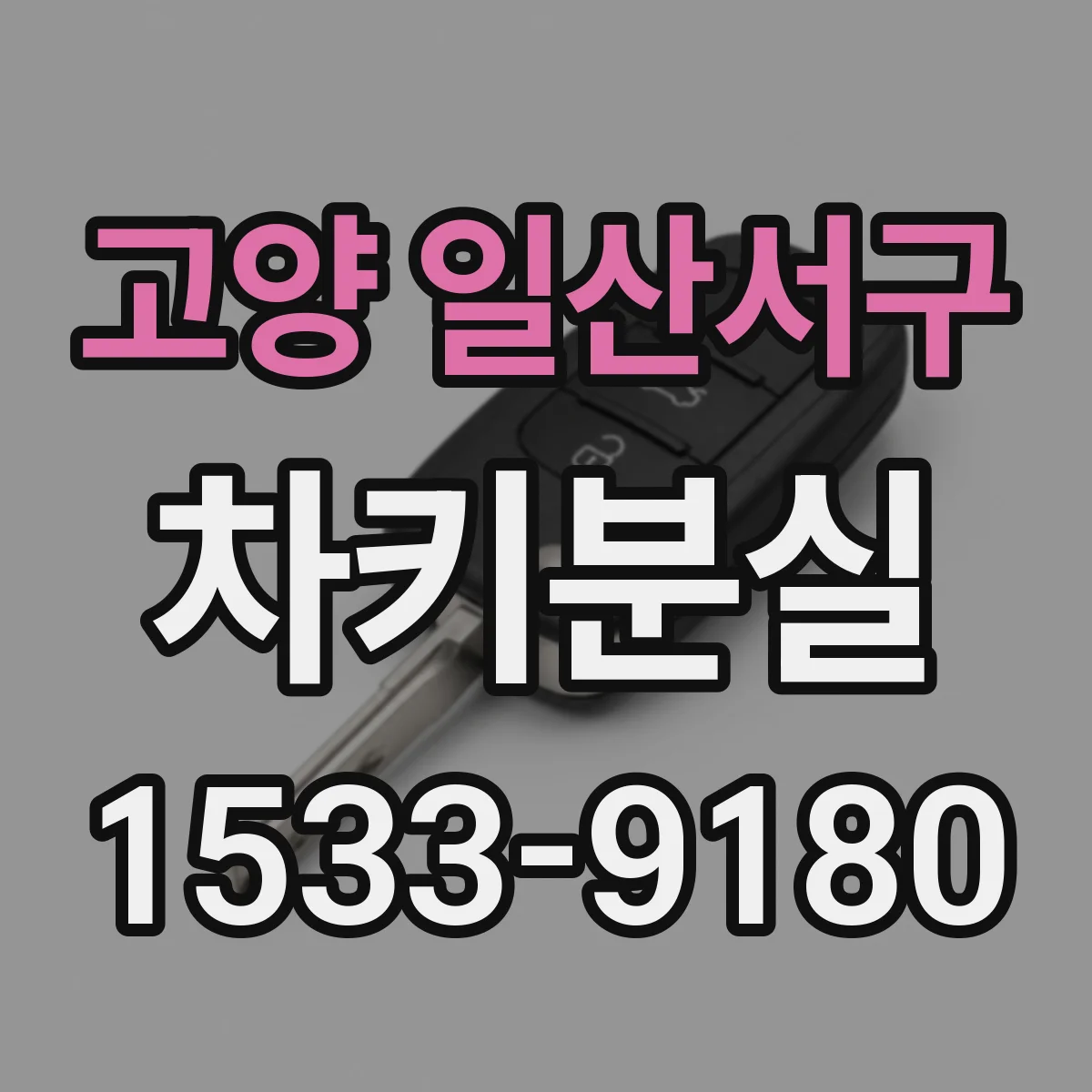 고양 일산서구 차키분실