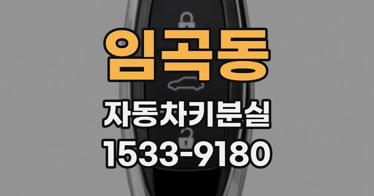 임곡동 자동차키분실