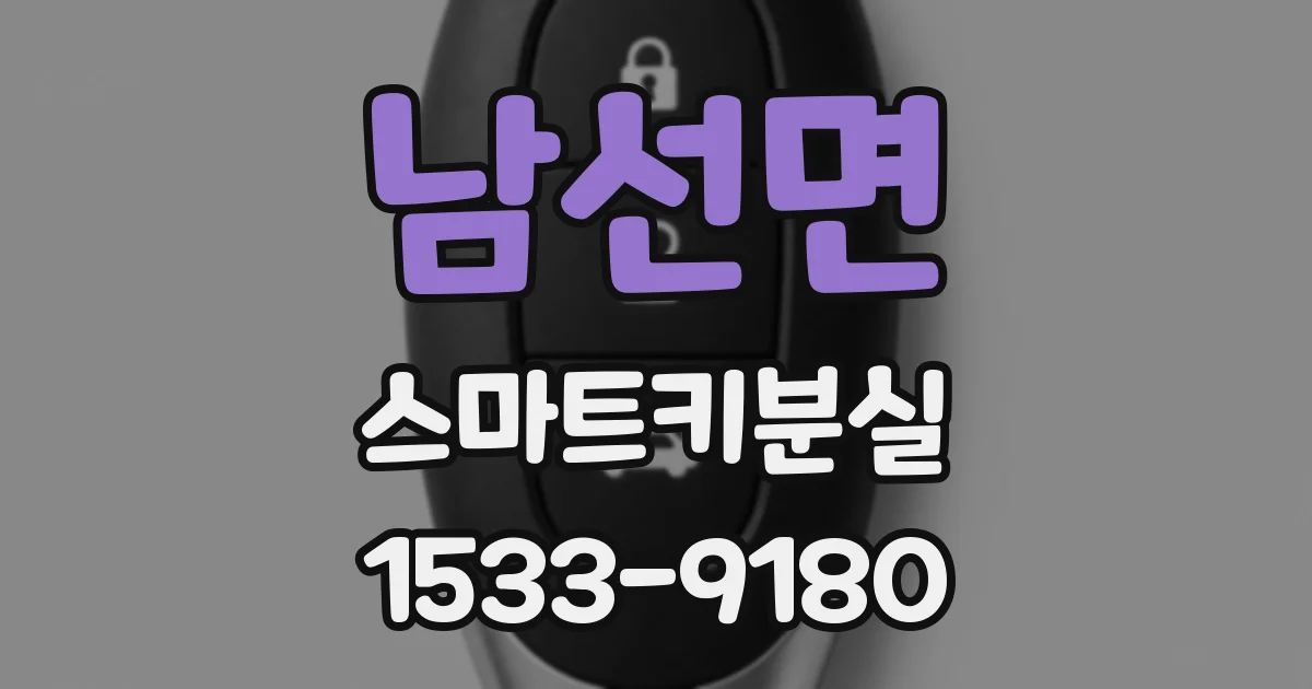 남선면 스마트키분실