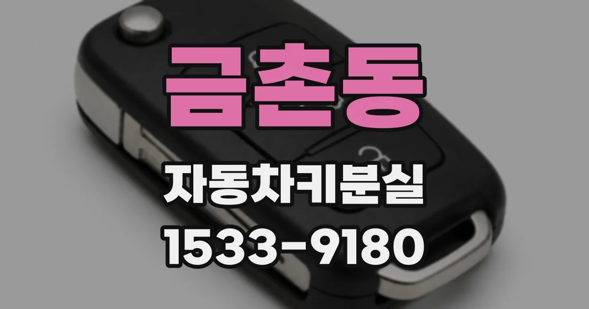 금촌동 자동차키분실