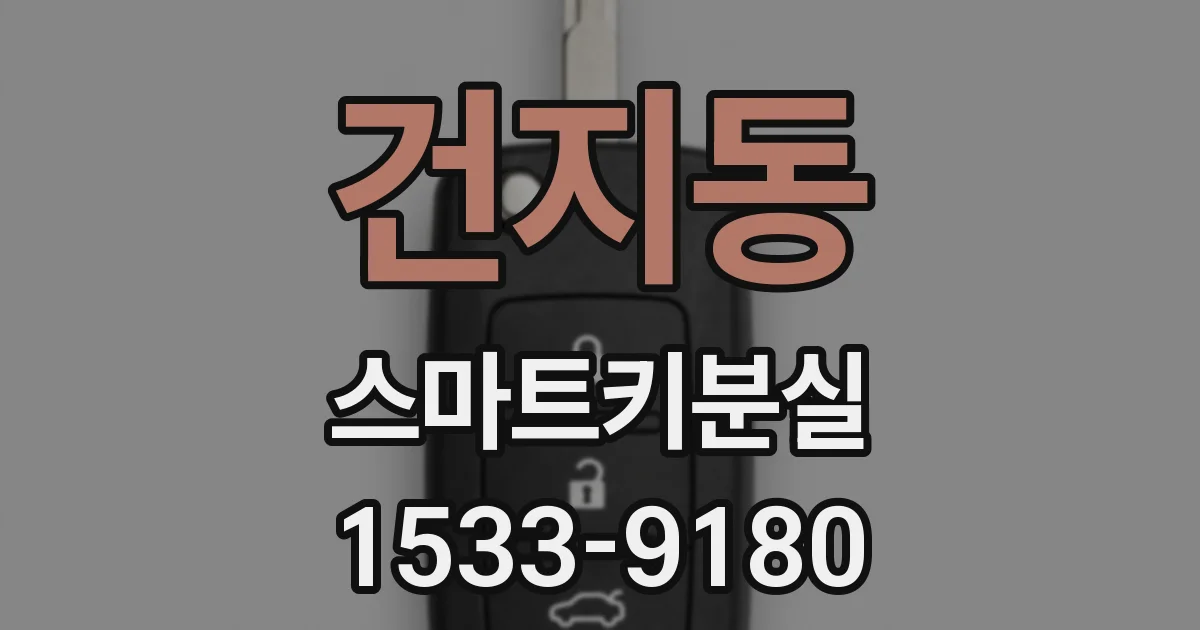 건지동 스마트키분실