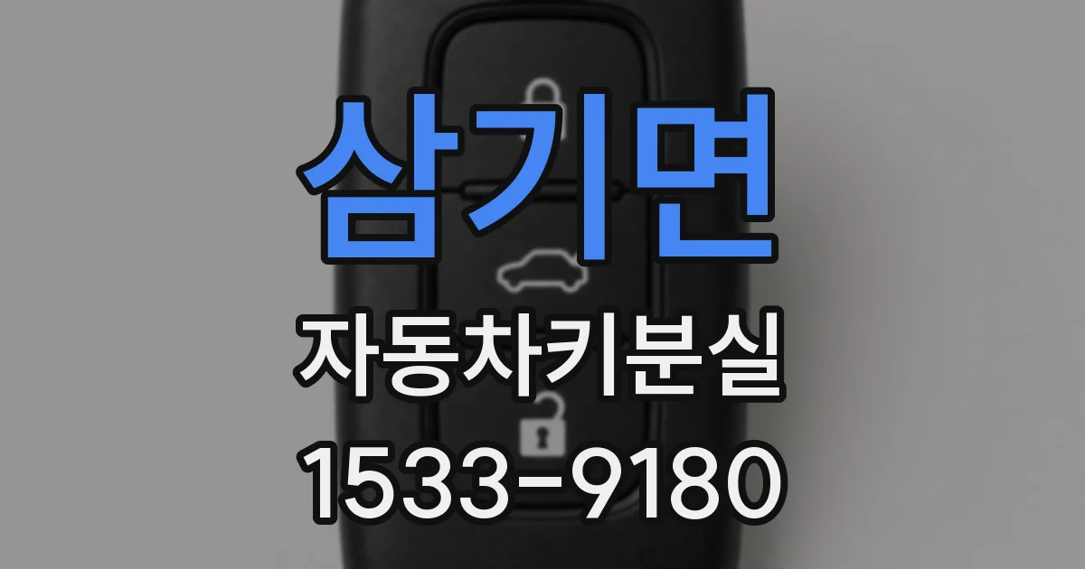 삼기면 자동차키분실