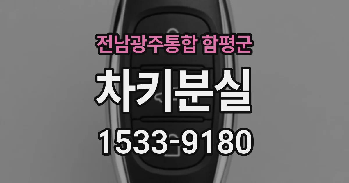 전남광주통합 함평군 차키분실