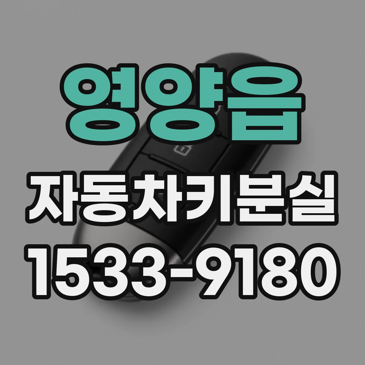 영양읍 자동차키분실