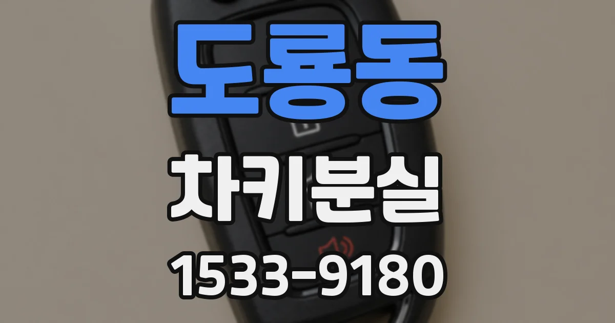 도룡동 차키분실