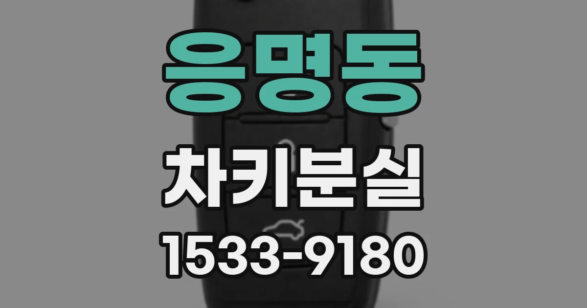 응명동 차키분실