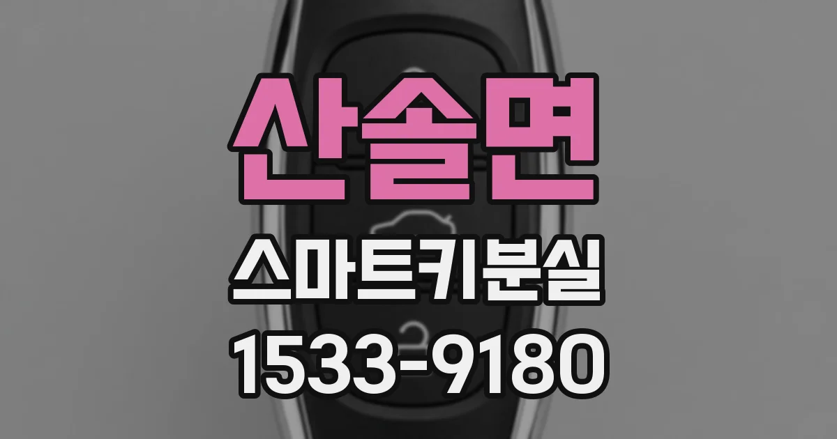 산솔면 스마트키분실