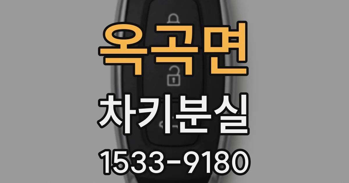 옥곡면 차키분실