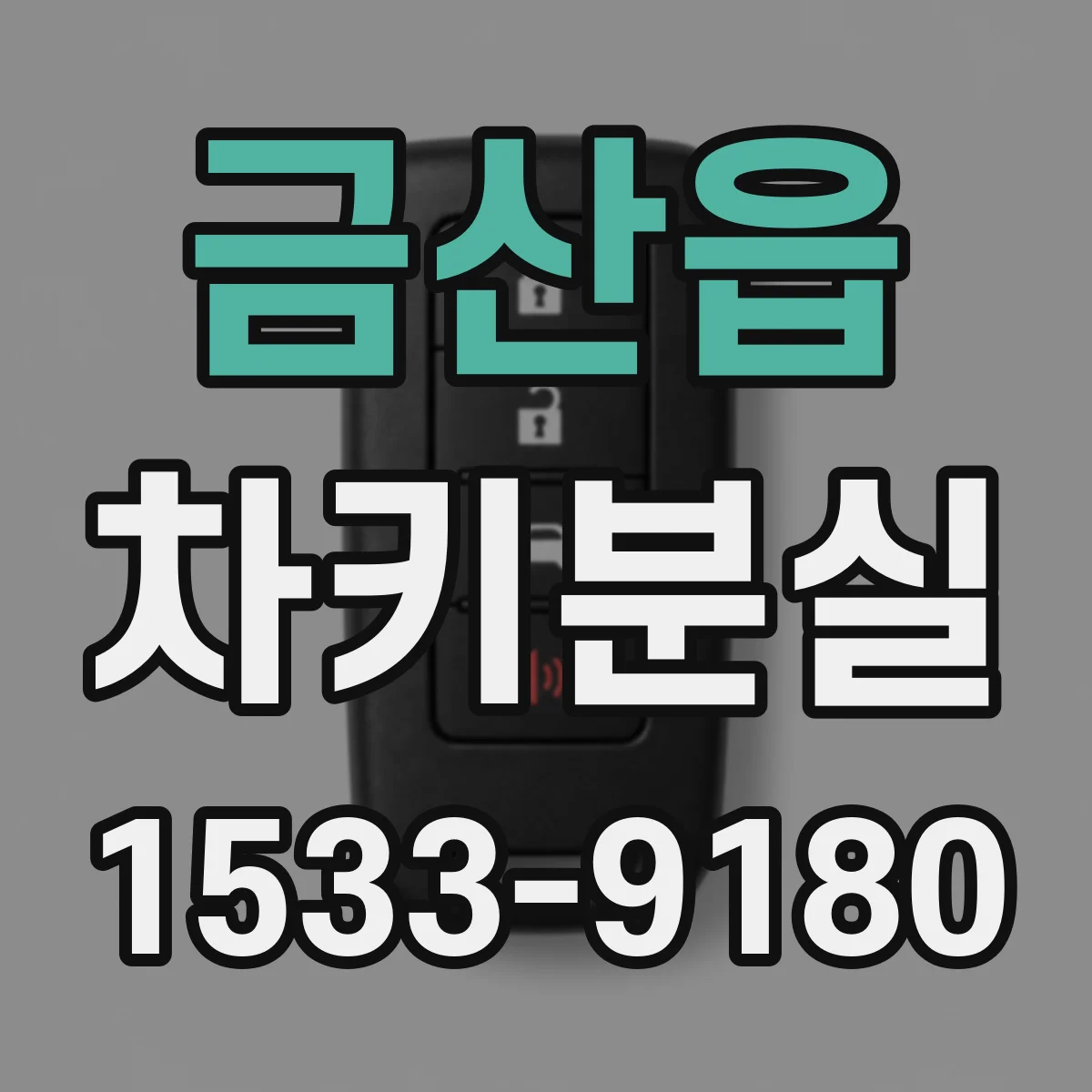 금산읍 차키분실