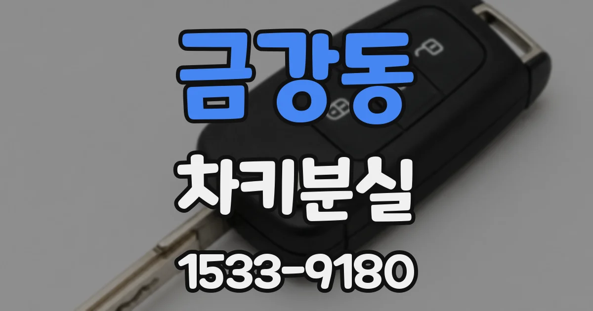 금강동 차키분실