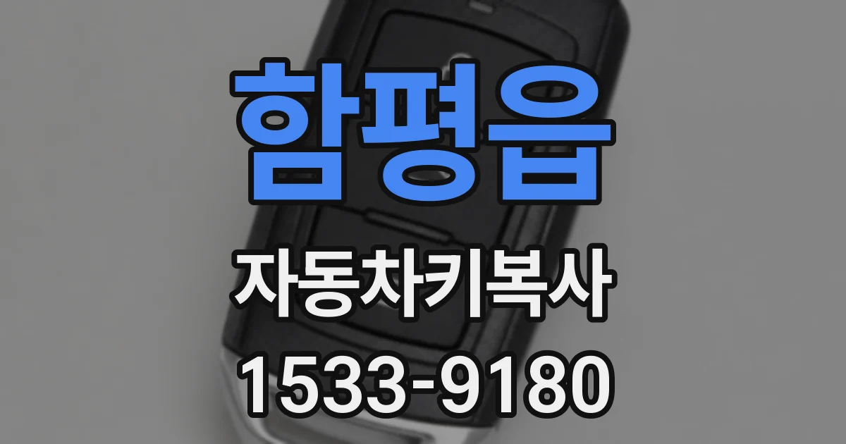 함평읍 자동차키복사