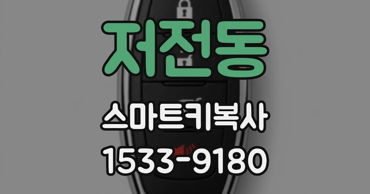 저전동 스마트키복사