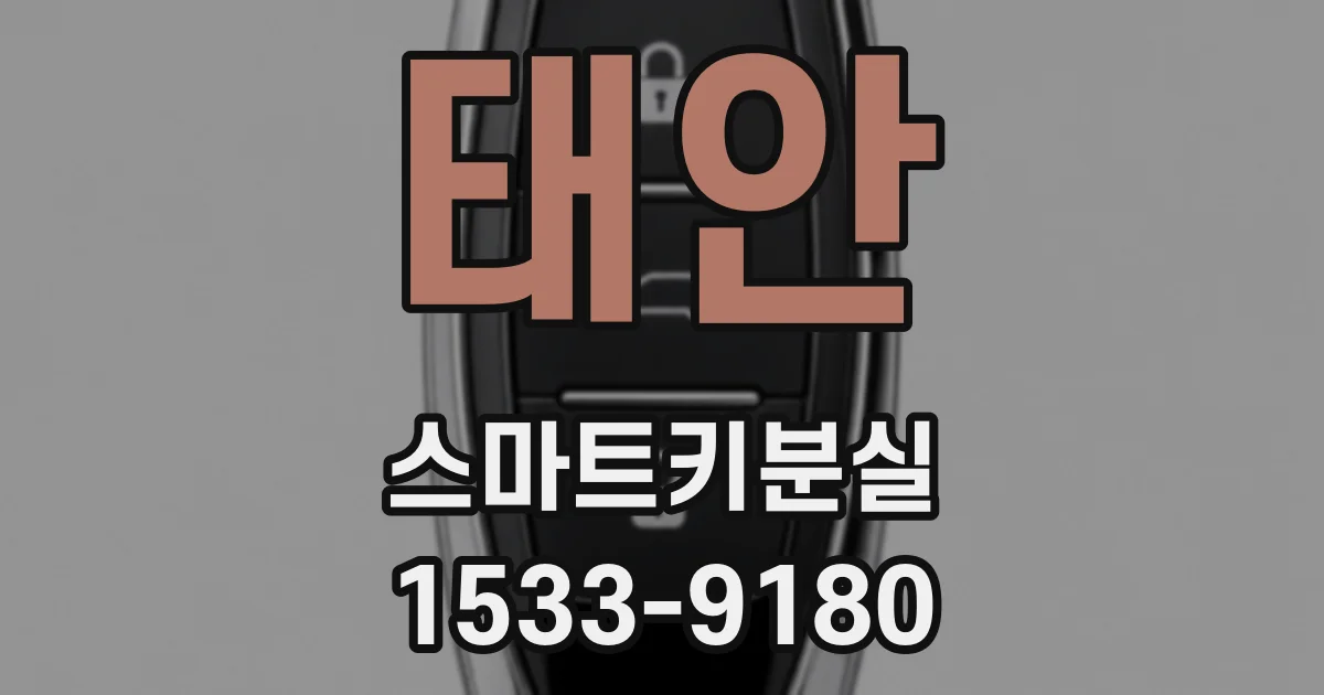 태안 스마트키분실