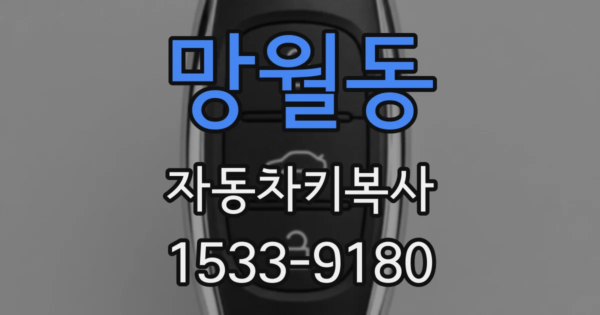 망월동 자동차키복사