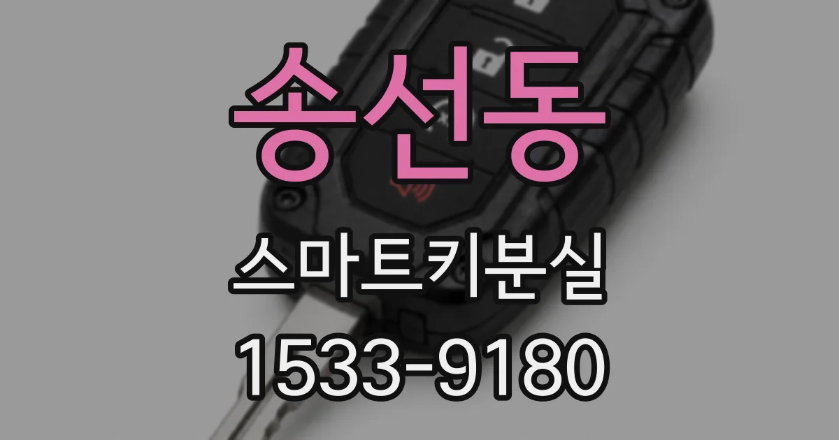 송선동 스마트키분실