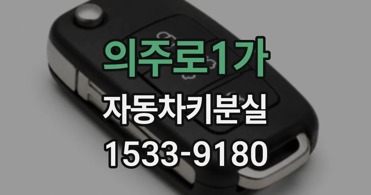 의주로1가 자동차키분실