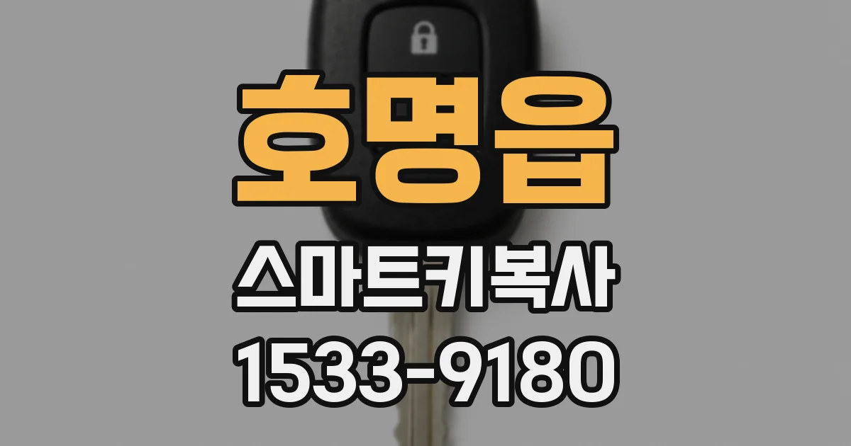 호명읍 스마트키복사