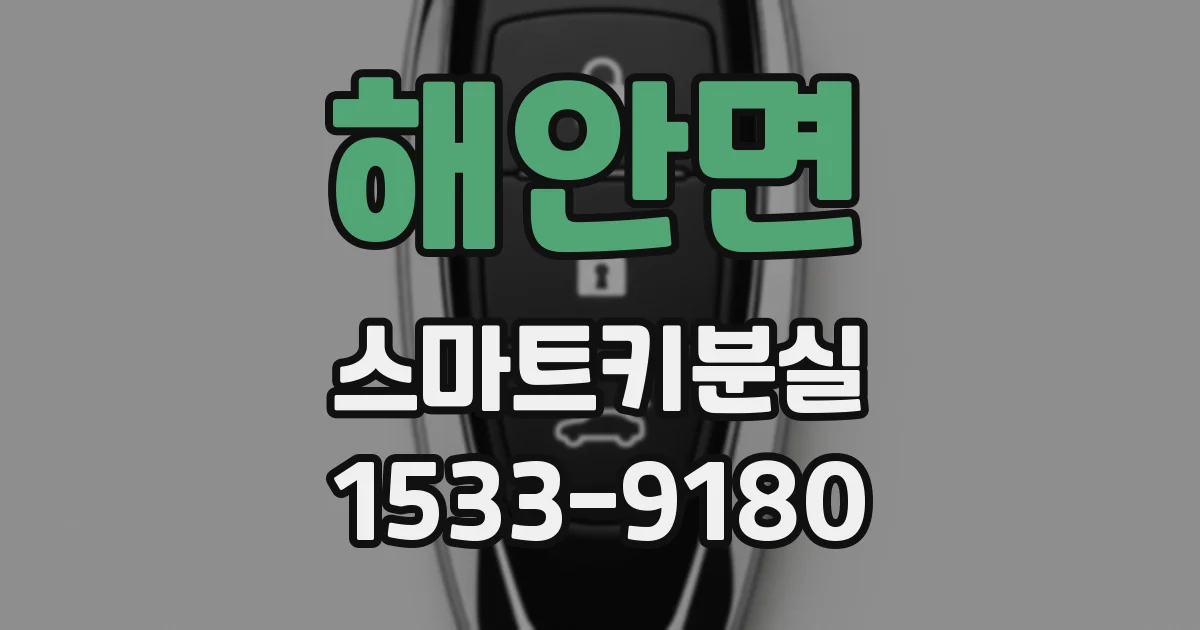 해안면 스마트키분실
