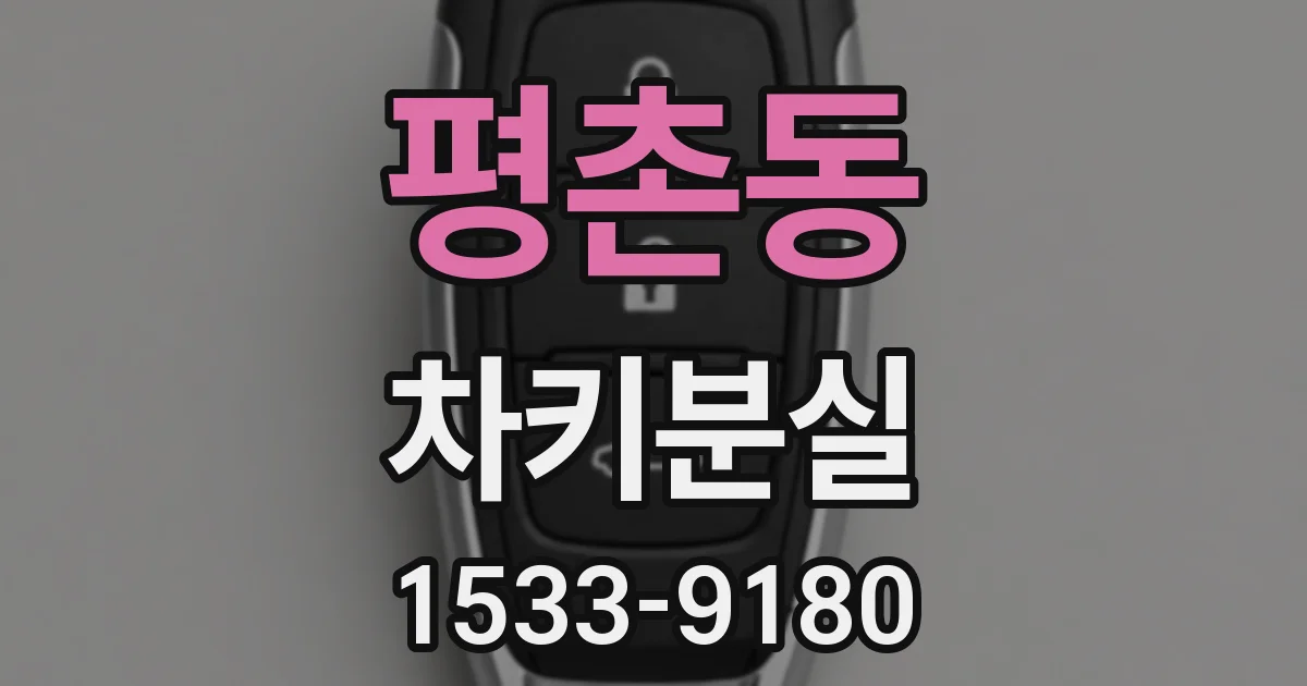 평촌동 차키분실