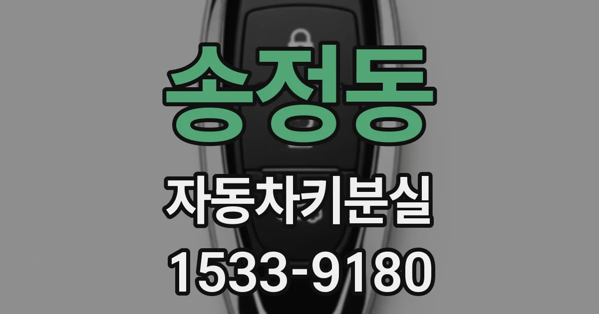 송정동 자동차키분실