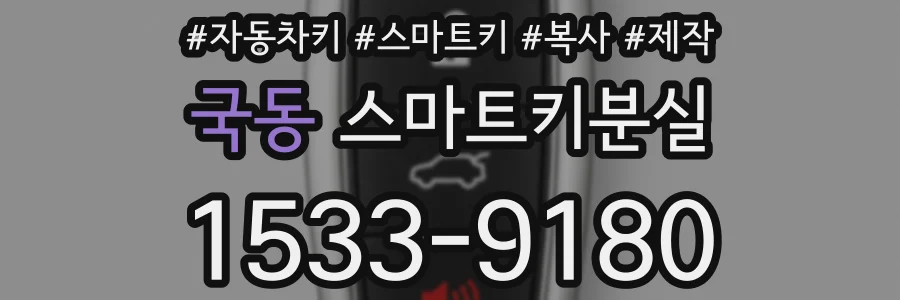 국동 스마트키분실