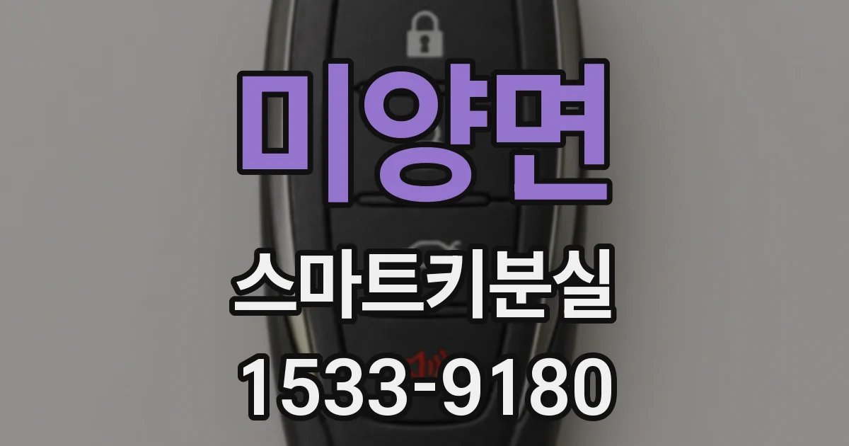 미양면 스마트키분실