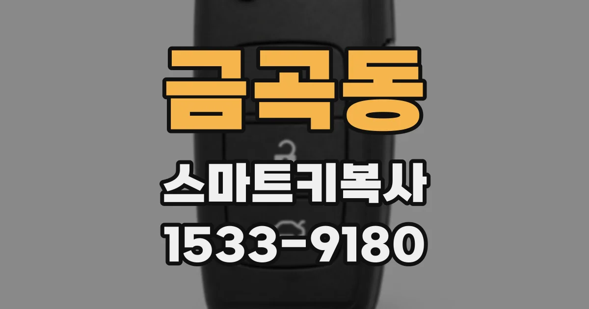 금곡동 스마트키복사