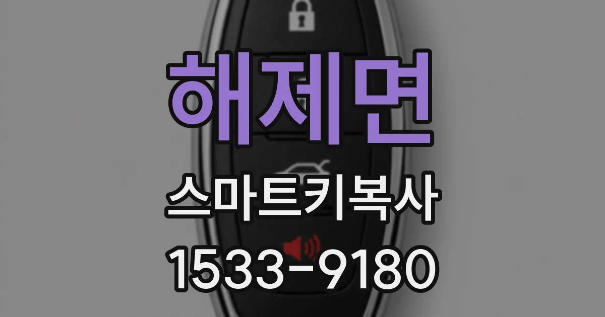 해제면 스마트키복사