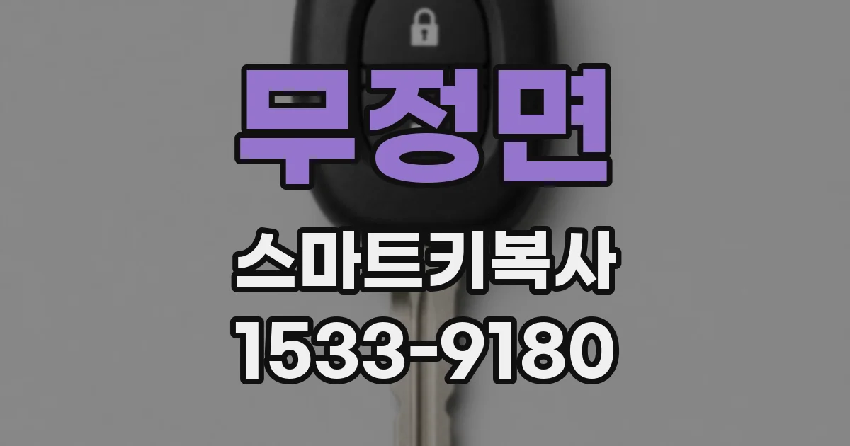 무정면 스마트키복사