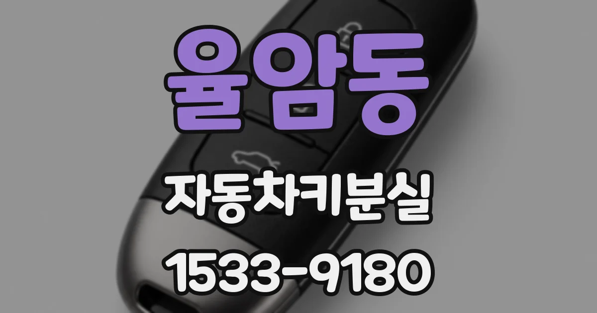 율암동 자동차키분실
