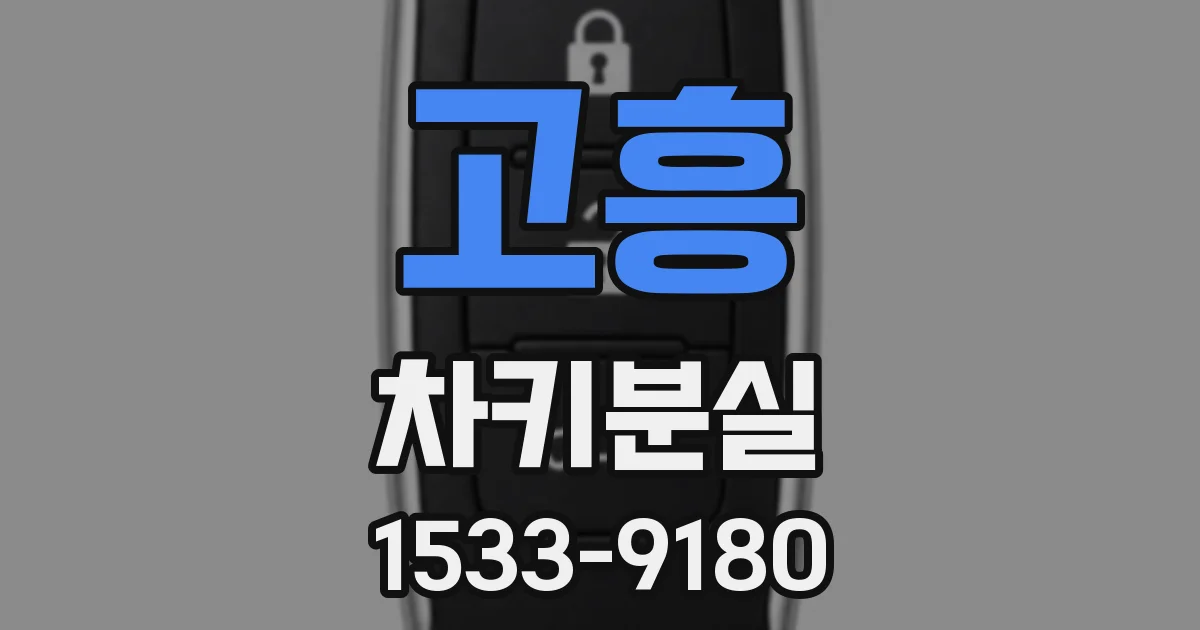 고흥 차키분실