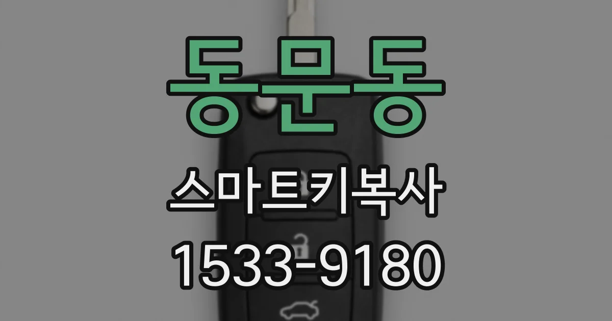 동문동 스마트키복사