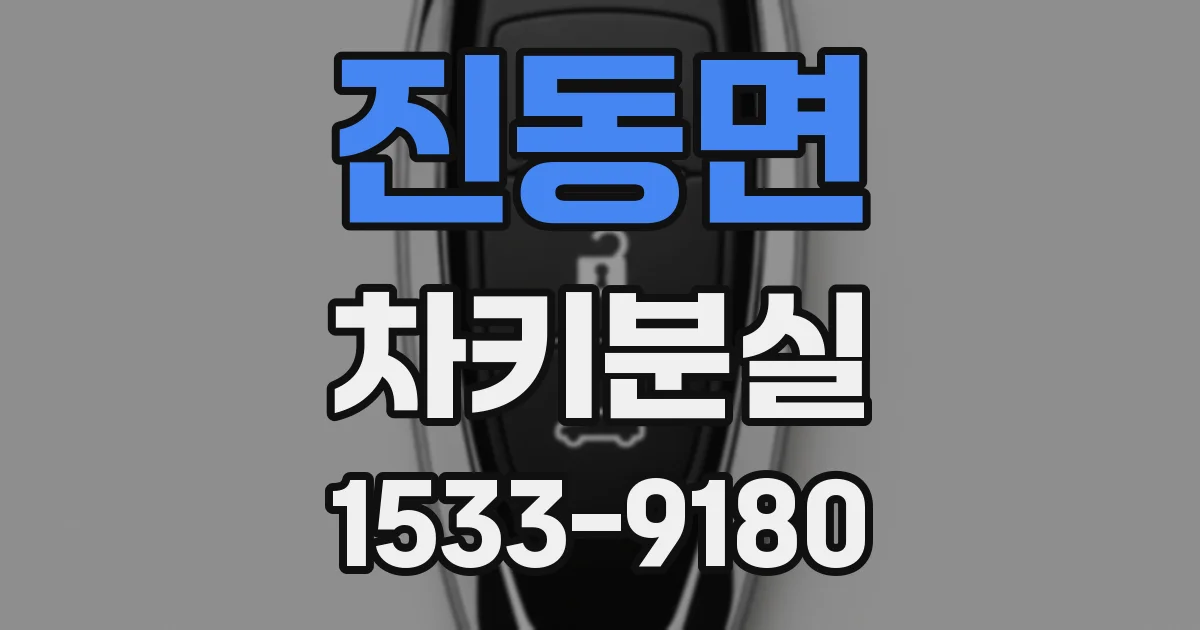 진동면 차키분실