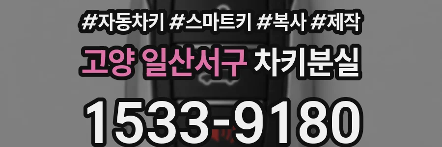 고양 일산서구 차키분실