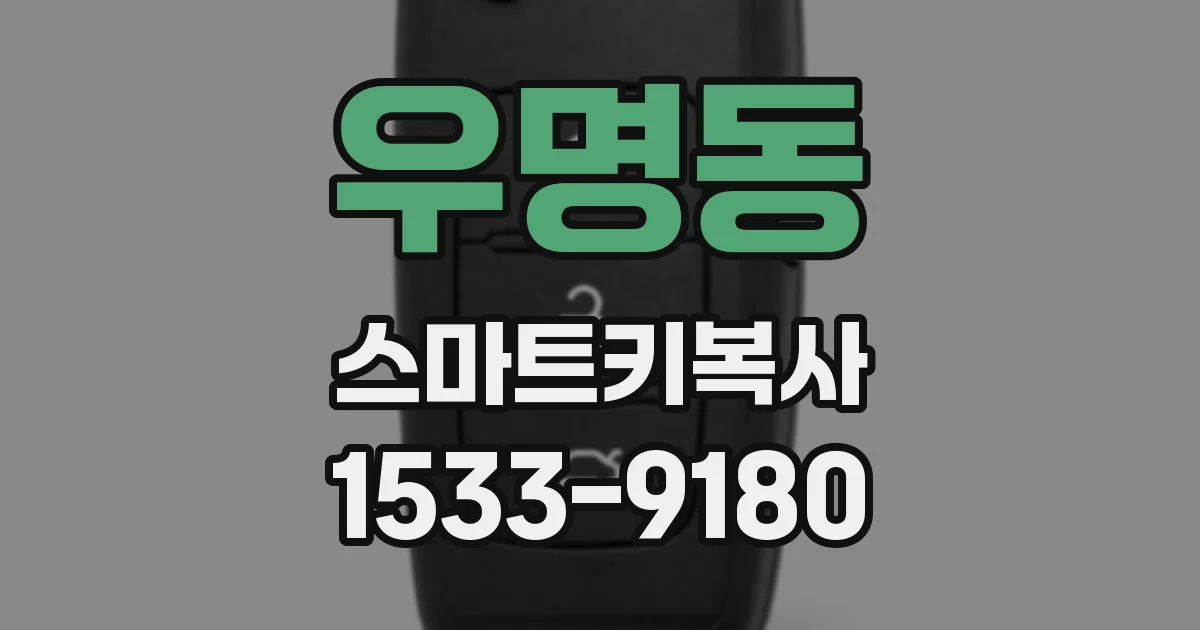우명동 스마트키복사