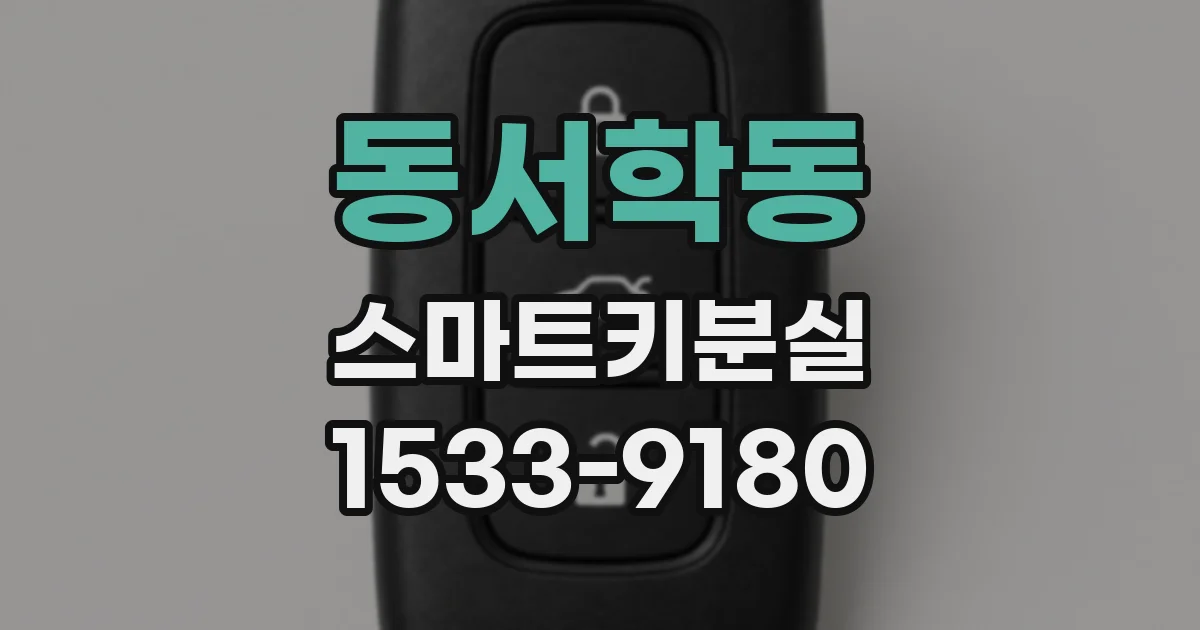 동서학동 스마트키분실
