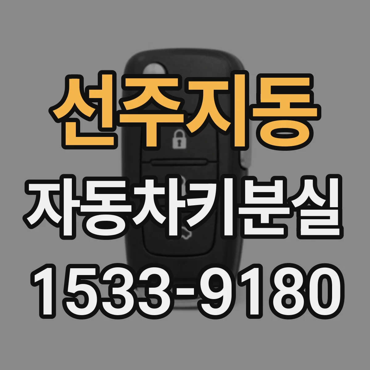 선주지동 자동차키분실