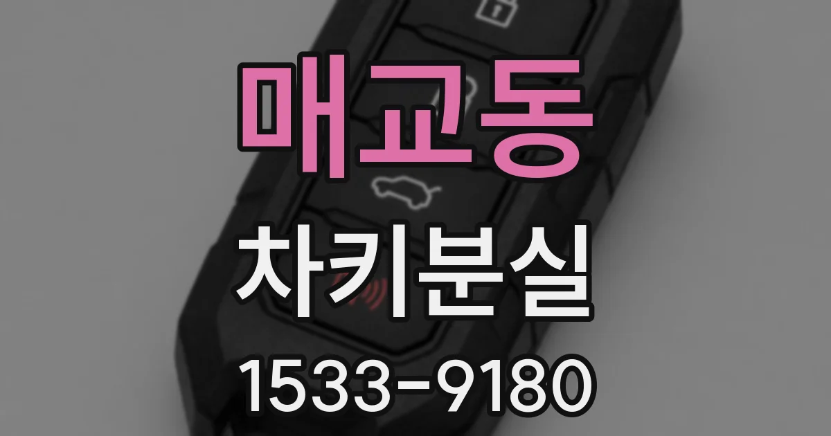 매교동 차키분실