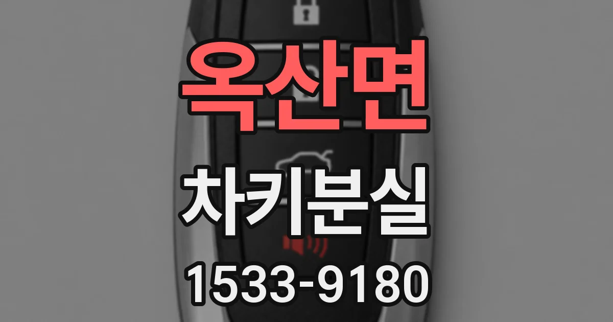 옥산면 차키분실